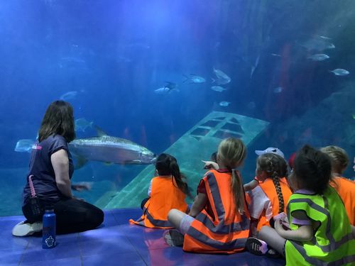 Trip - Foundation’s trip to the National Marine Aquarium