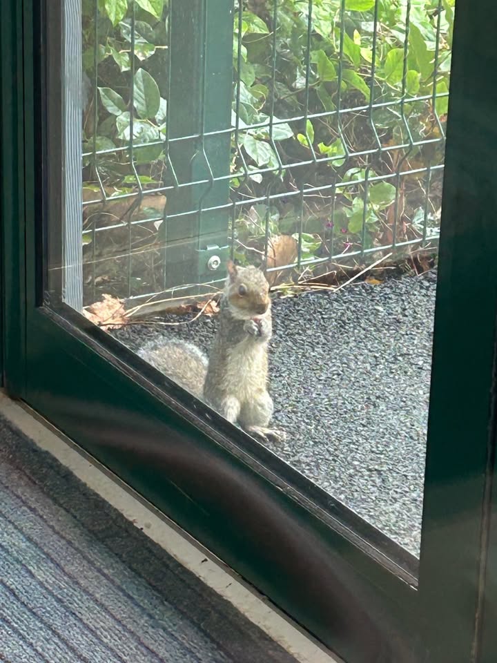 `440552545807076_122190254114529417