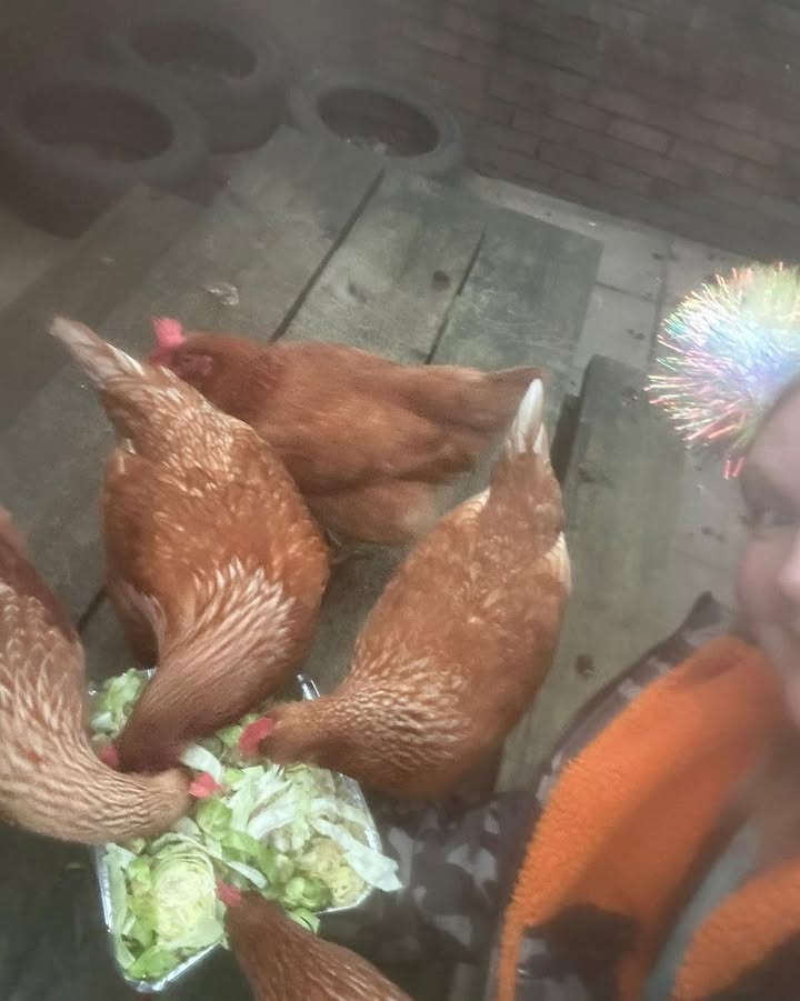 `440552545807076_122195832128529417