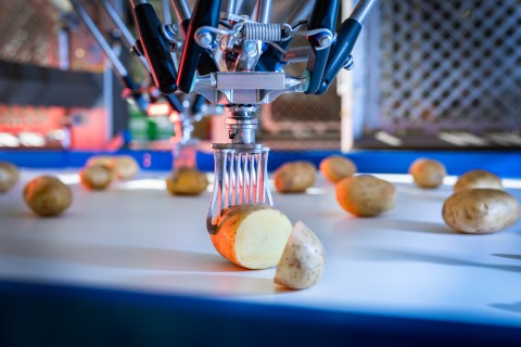 Robotgrijpers pakken aardappelen van een band, PIP Innovations