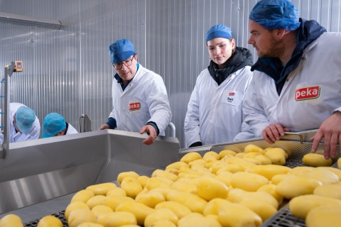 Medewerkers inspecteren aardappelen op een band, PIP Innovations