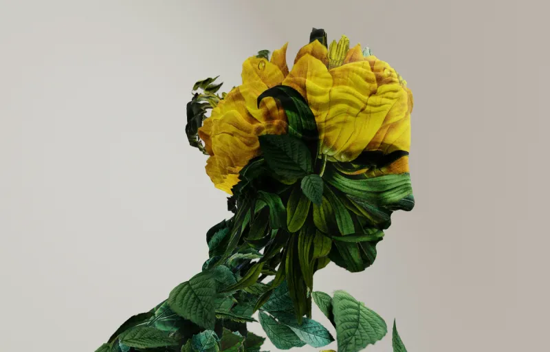 Placeholder Content Image