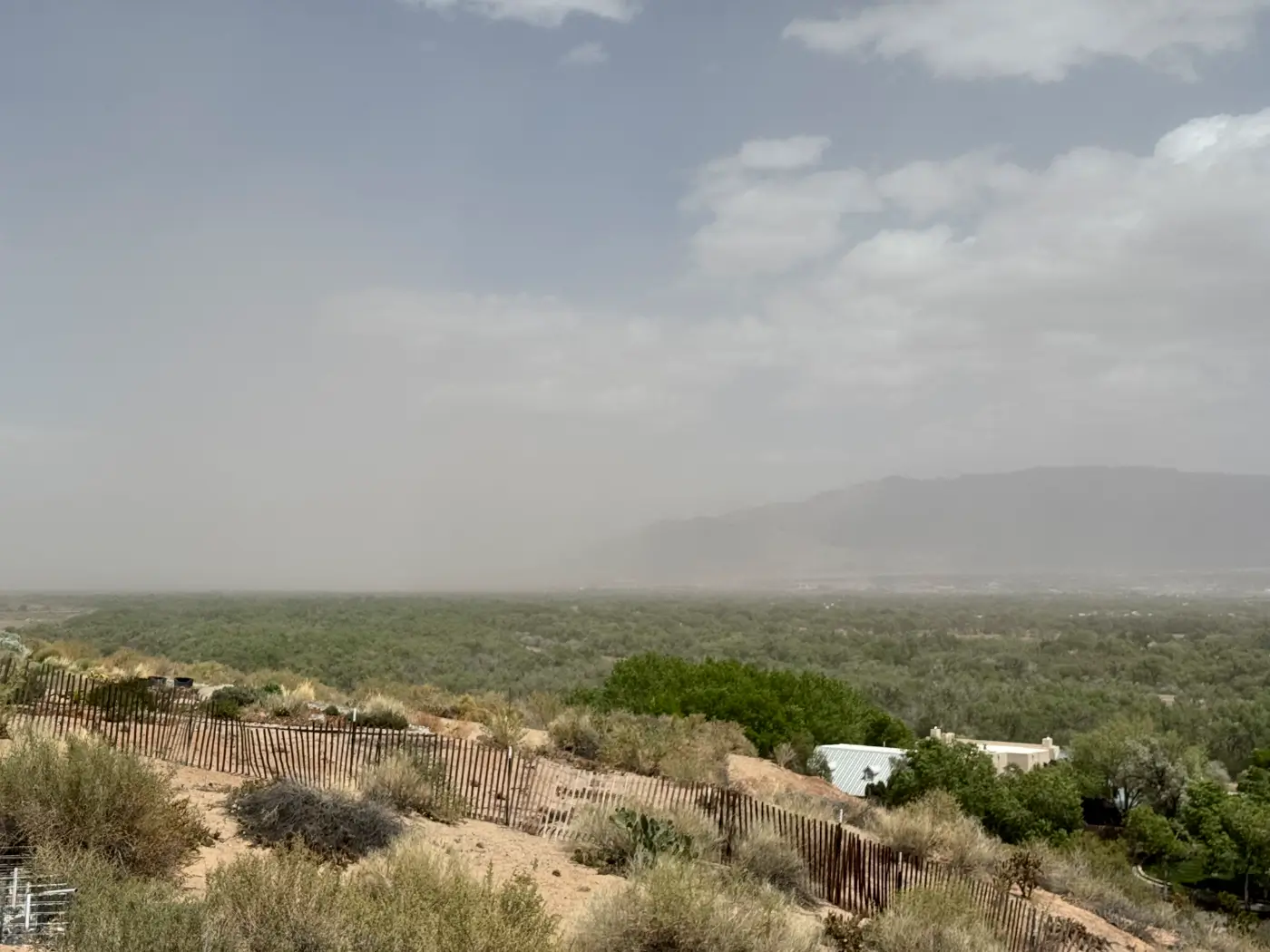 Dust storm haze blowing across the Rio Grande bosque toward the Sandia Mountains in Albuquerque, New Mexico