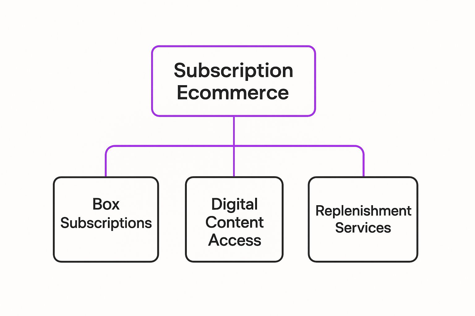 Infographic showing a hierarchy diagram with 'Subscription Ecommerce' at the center, branching out to 'Box Subscriptions', 'Digital Content Access', and 'Replenishment Services'.