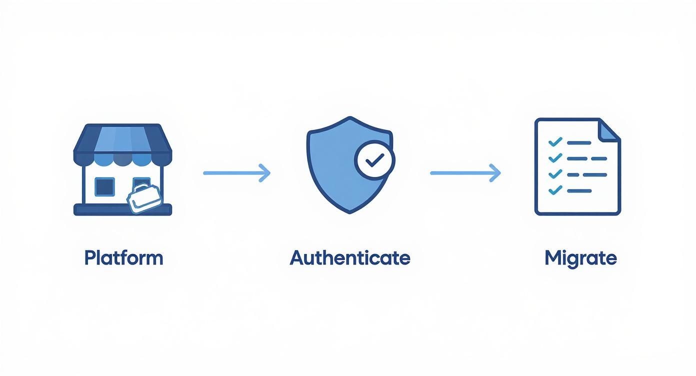 Infographic about ecommerce email marketing automation