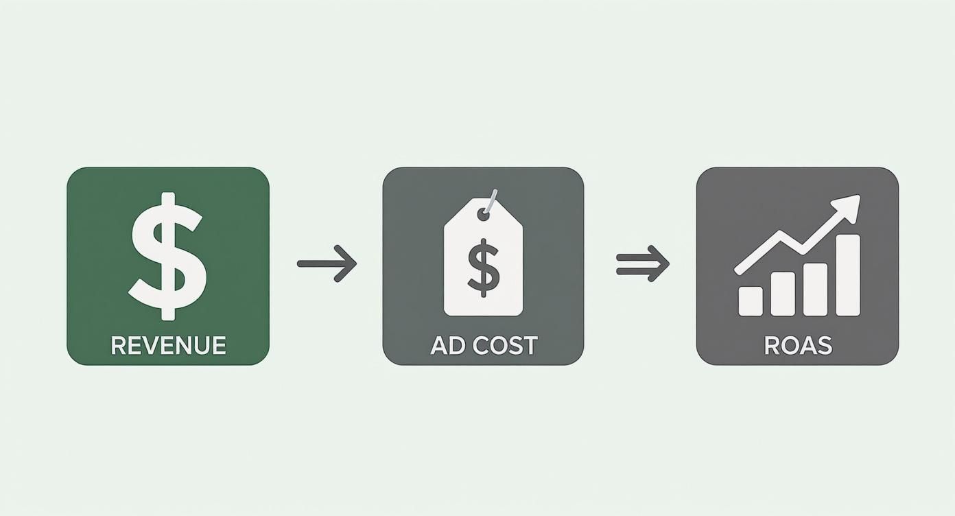 Infographic about how to calculate return on ad spend
