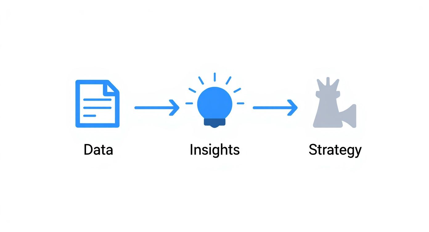 Infographic about how to analyze sales data