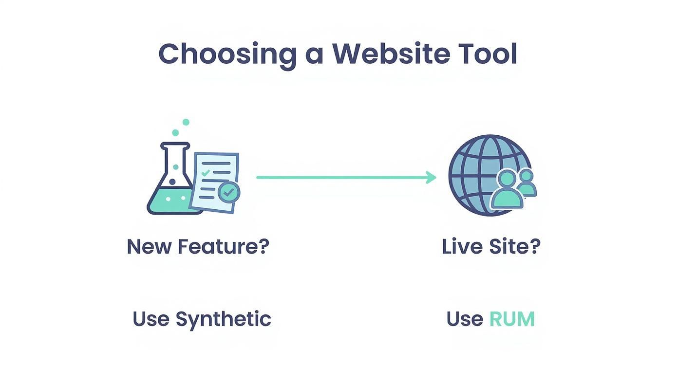 Infographic about how to measure website performance