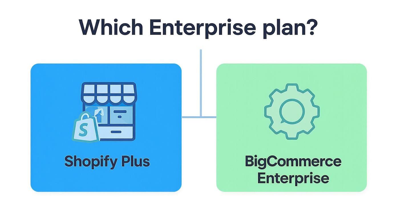 Infographic decision tree comparing Shopify Plus and BigCommerce Enterprise.