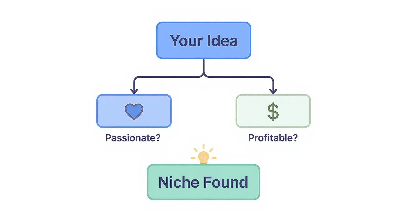 Infographic about how to start ecommerce business