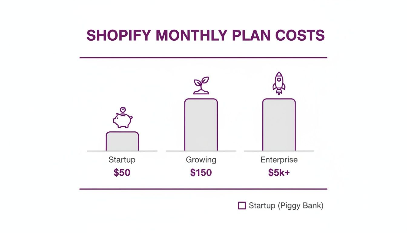 Bar chart displaying Shopify monthly plan costs for Startup, Growing, and Enterprise tiers with corresponding prices.