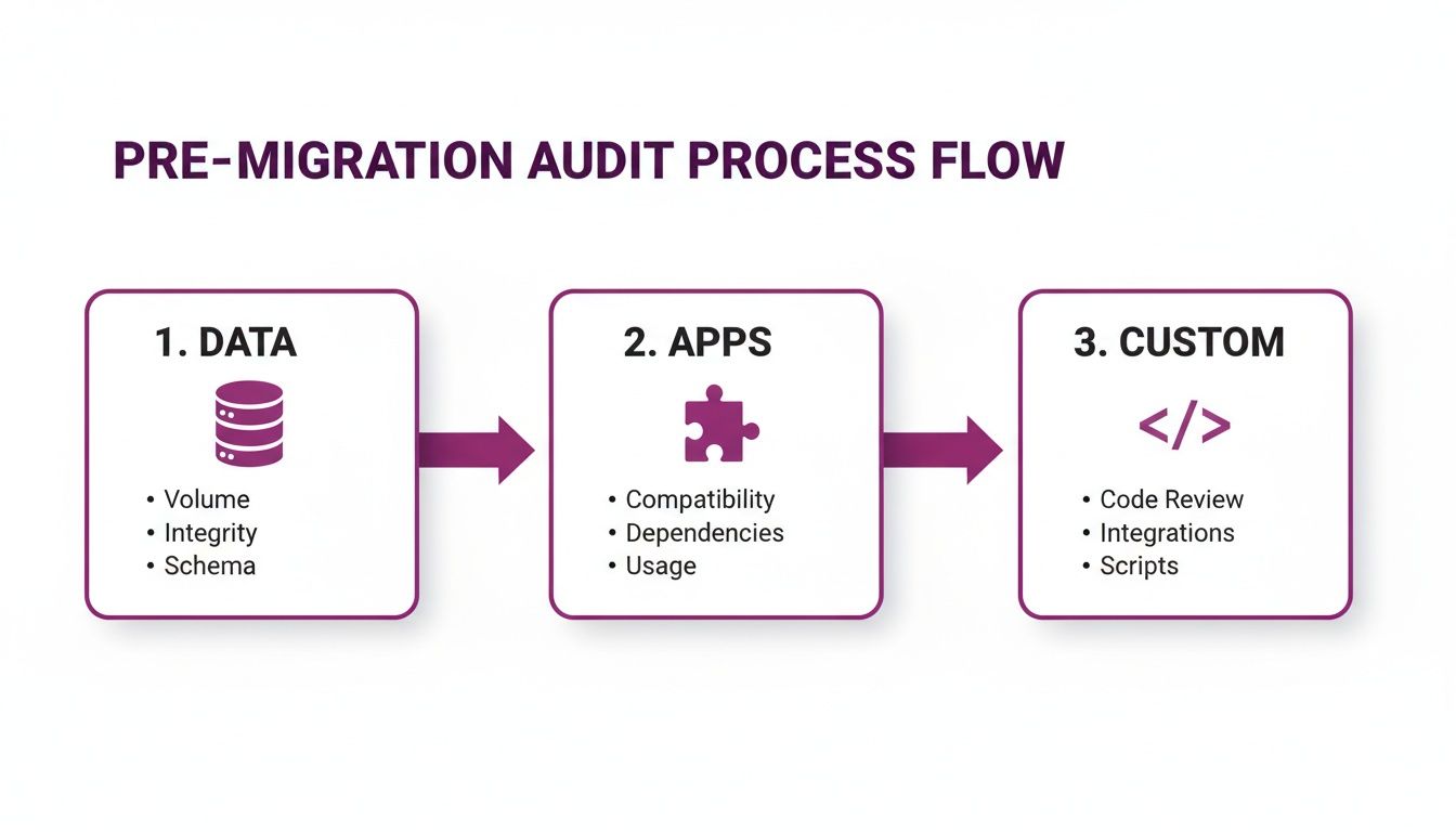 Pre-migration audit process flow illustrating data, apps, and custom code assessment for migration readiness.