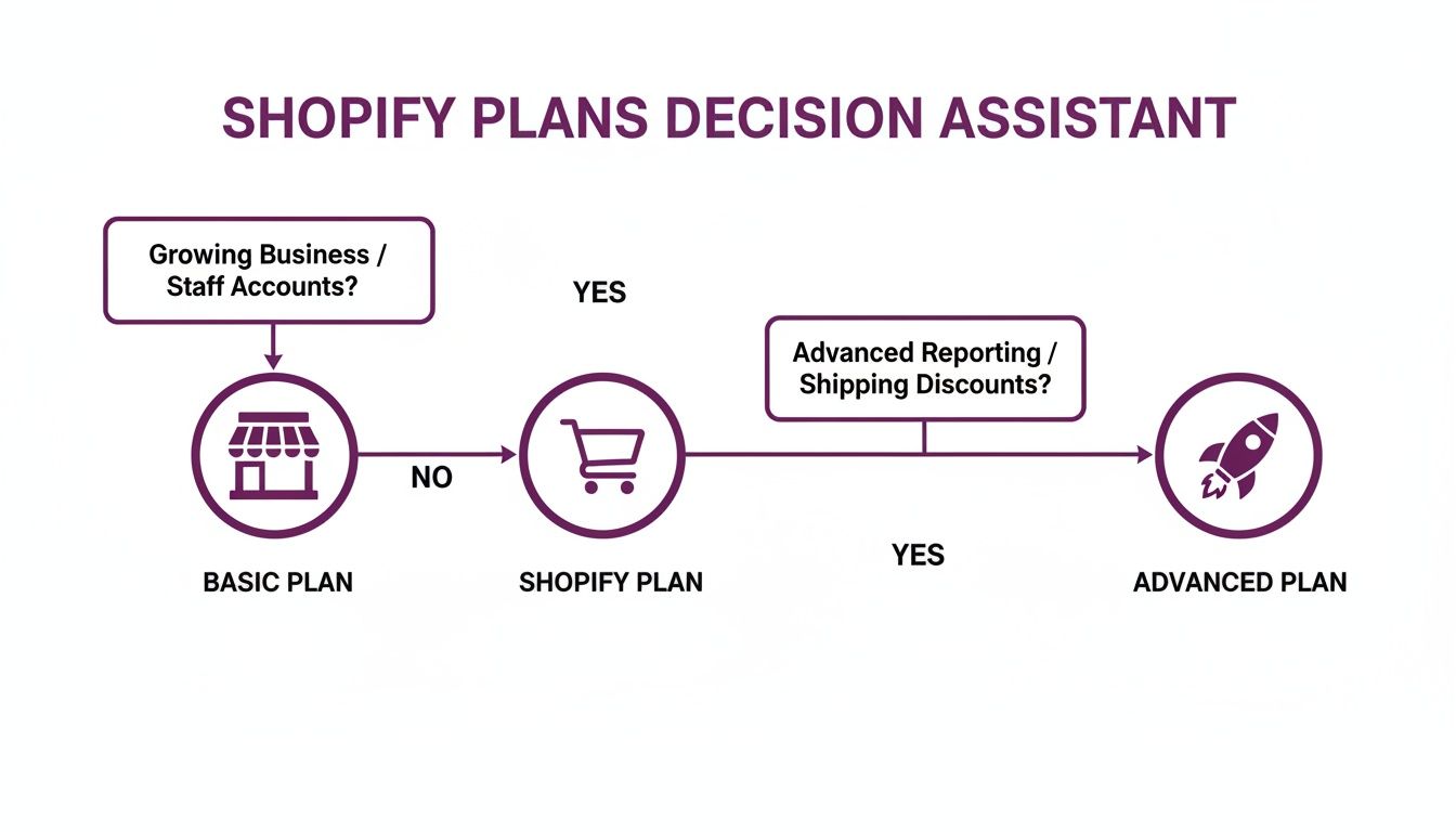 A flowchart explaining how to choose between Shopify Basic, Shopify, and Advanced plans based on business needs.