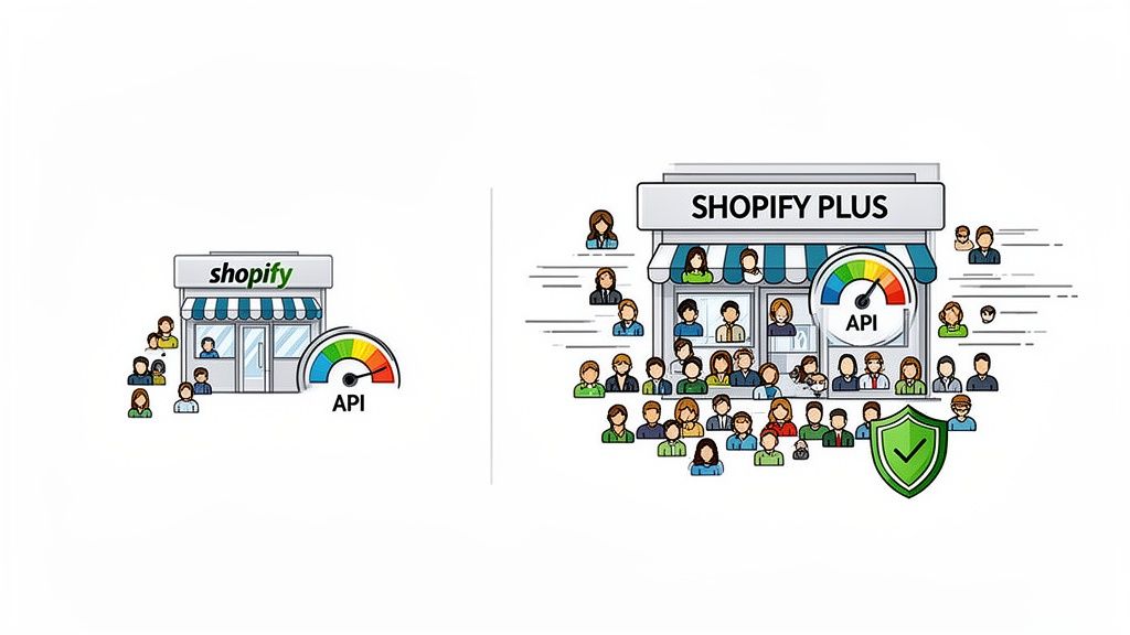 Illustration comparing Shopify and Shopify Plus, showing increased API capacity, users, and security for Plus.