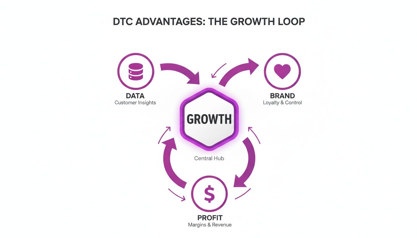 A DTC growth loop diagram showing data, brand, and profit driving central business growth.