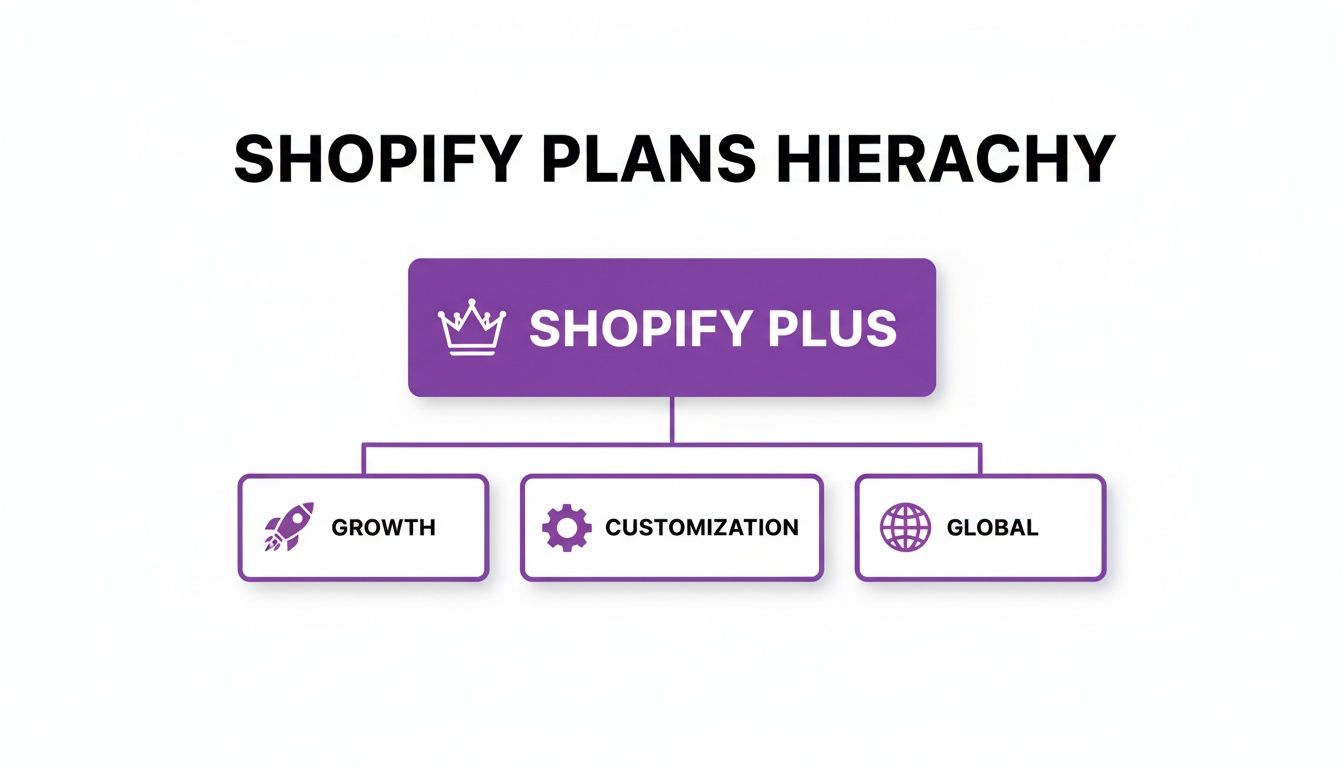 A hierarchy chart showing Shopify Plus at the top, branching into Growth, Customization, and Global plans.