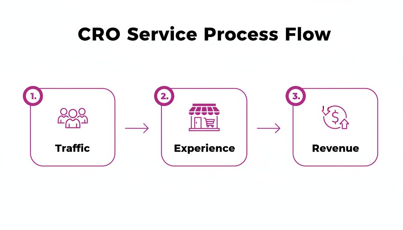CRO Service Process Flow diagram showing steps from Traffic to Experience to Revenue.