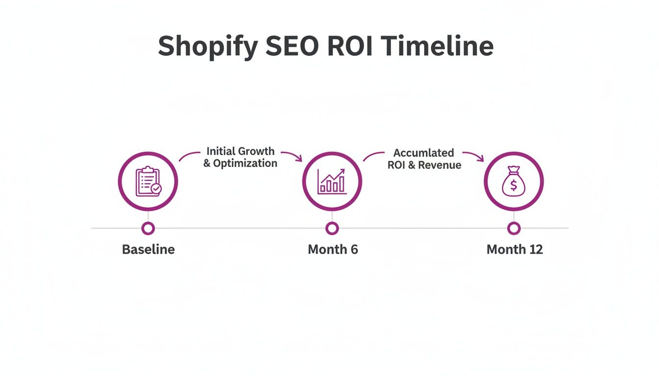 Shopify SEO ROI timeline showing growth from baseline optimization to accumulated revenue.