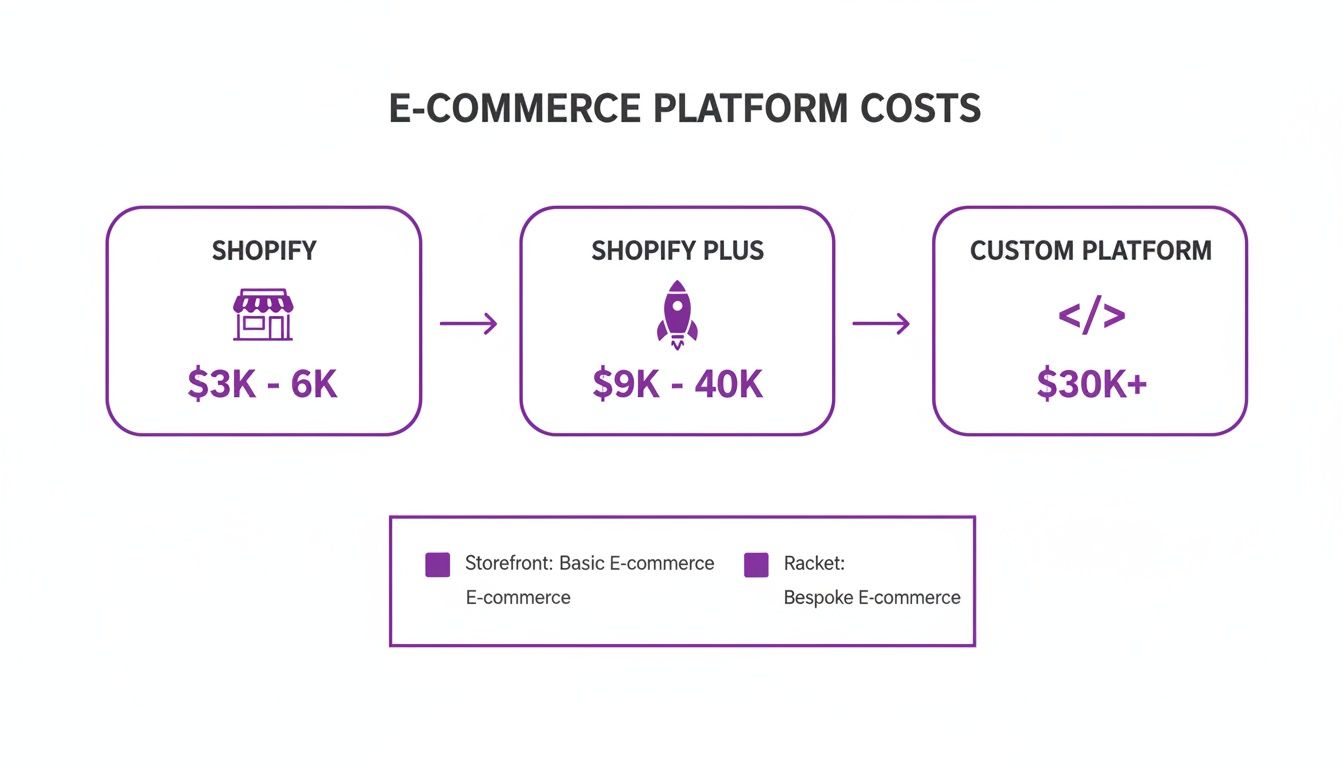 Flowchart illustrating e-commerce platform costs: Shopify, Shopify Plus, and custom solutions with price ranges.