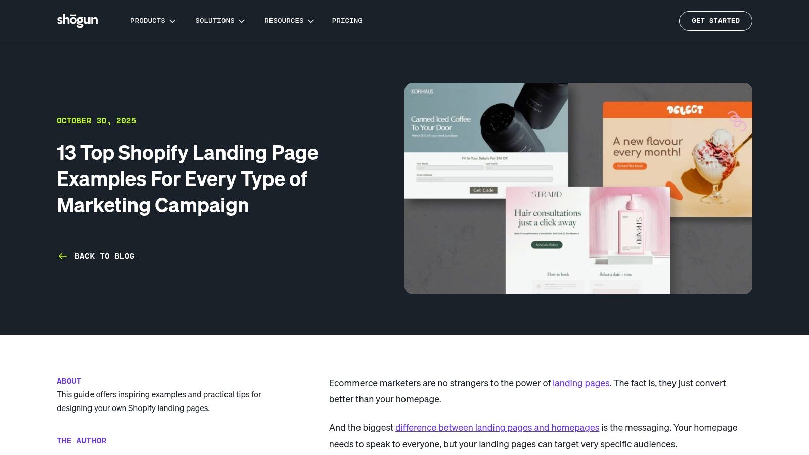 Shogun (13 Shopify Landing Page Examples For Every Type of Campaign)