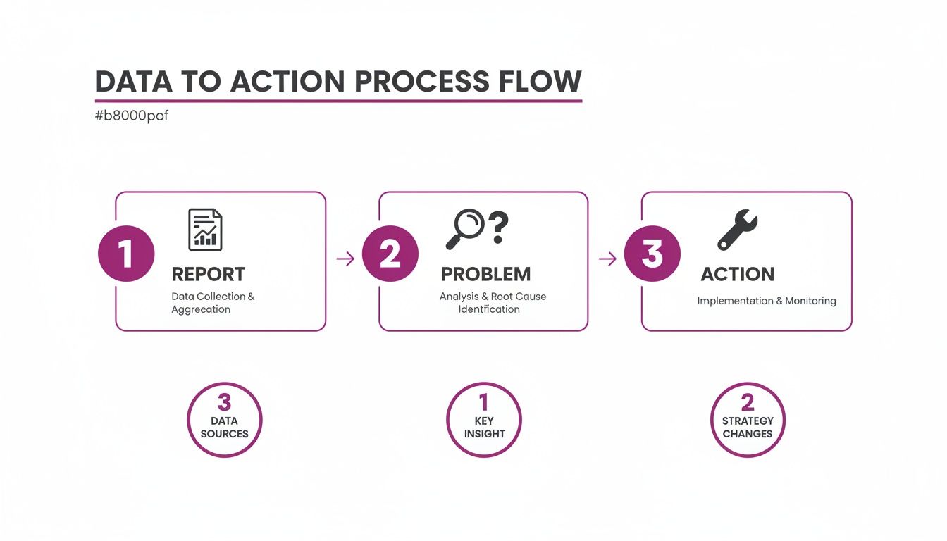A data to action process flow diagram illustrating steps from data collection to problem analysis and implementation.