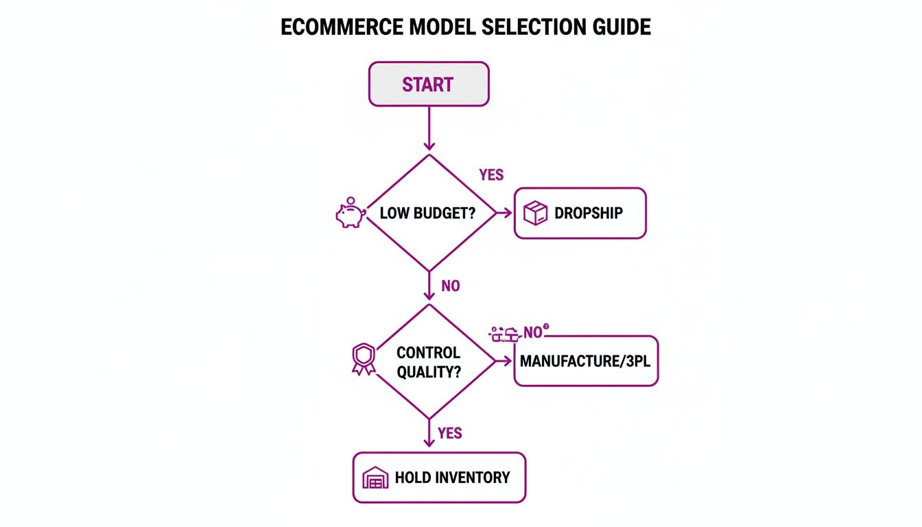 Flowchart illustrating e-commerce model selection based on budget and quality control decisions.