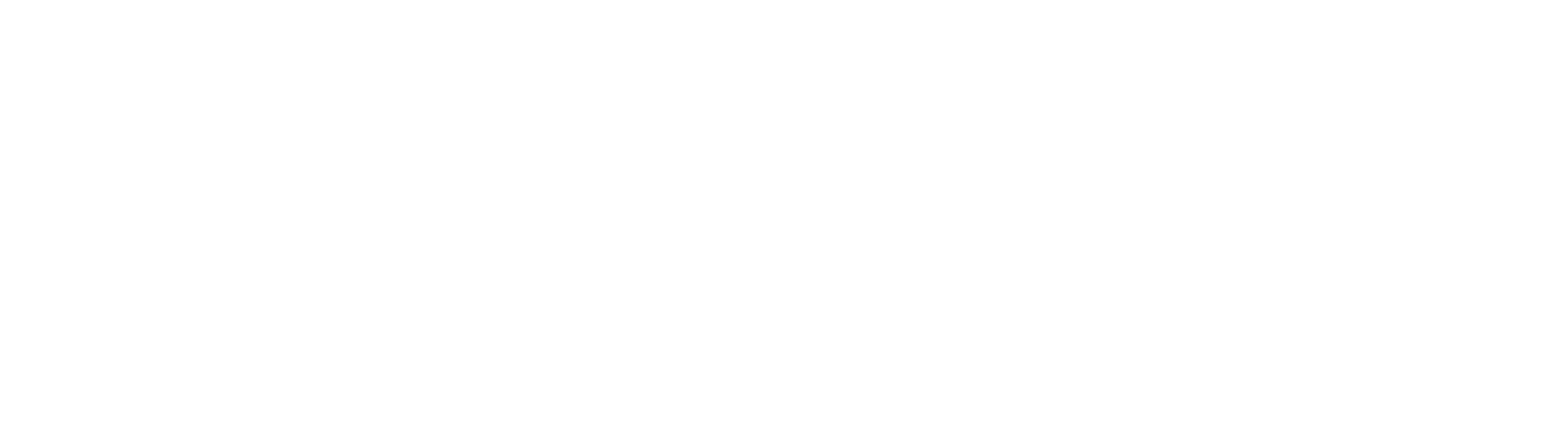 ecoLocked Logo
