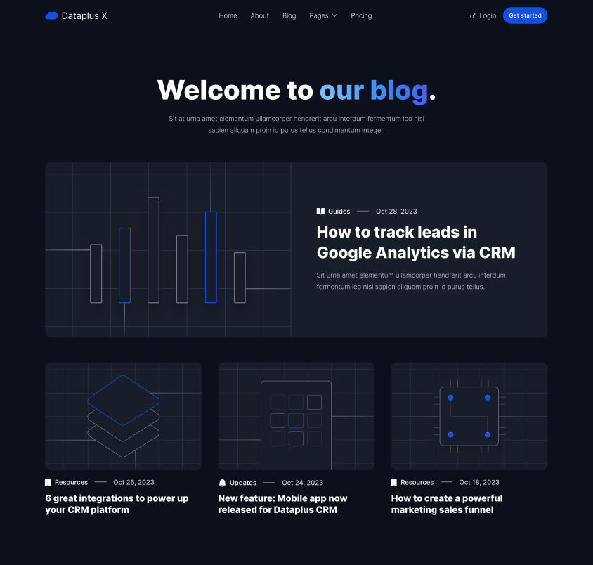 Hero Strip - Dataplus X Webflow Template