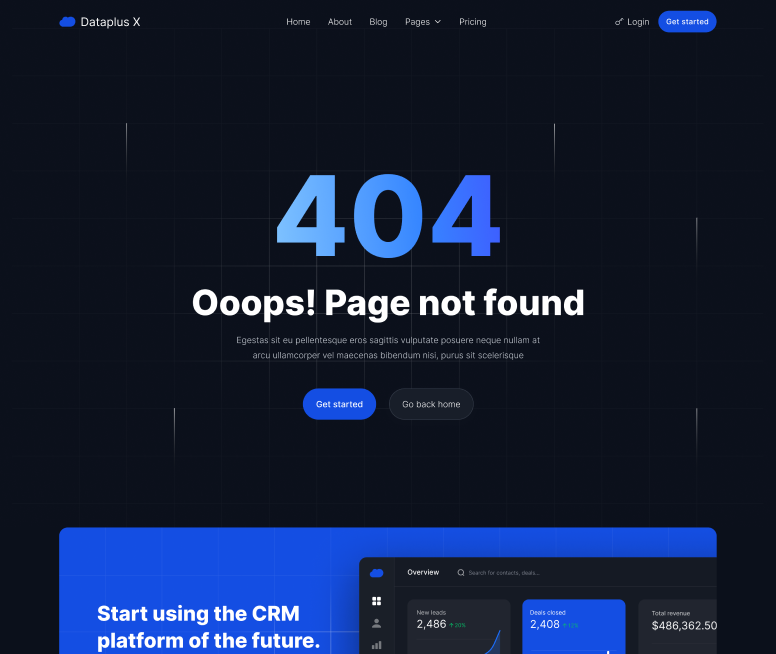 404 Not Found - Dataplus X Webflow Template
