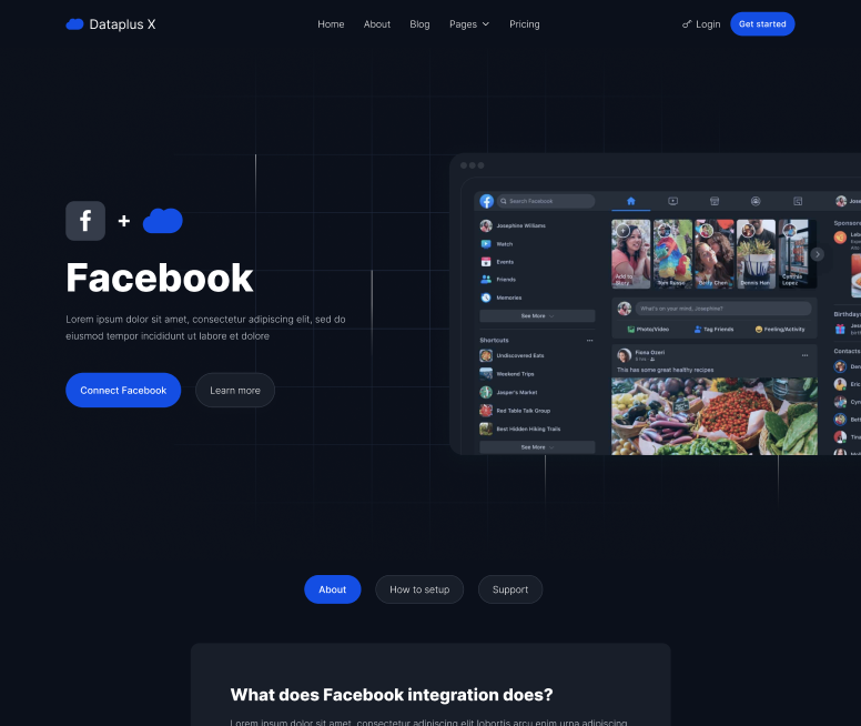 Integration Single - Dataplus X Webflow Template