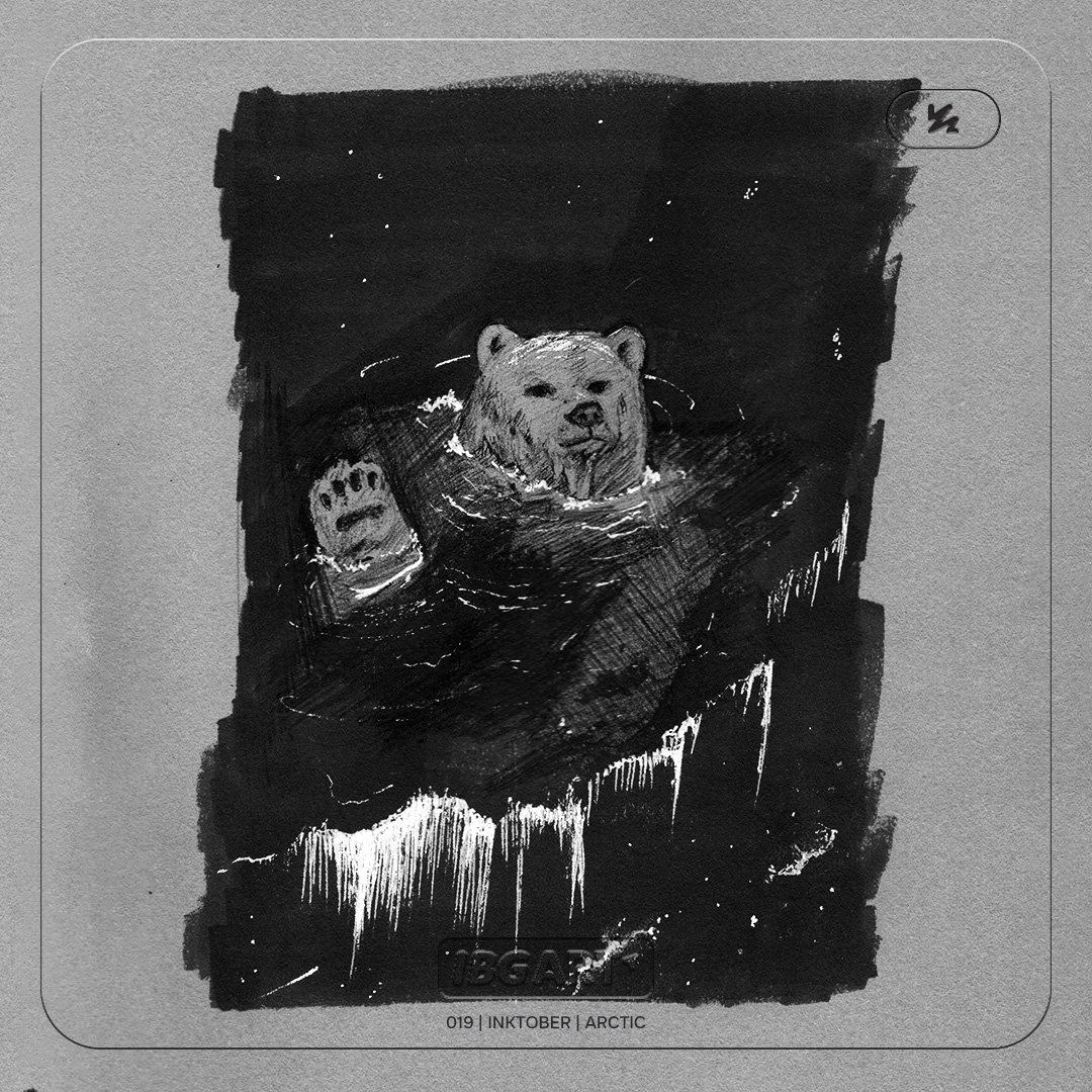 Drawing of a polar bear swimming at night, with the reflection of the northern lights in the water.