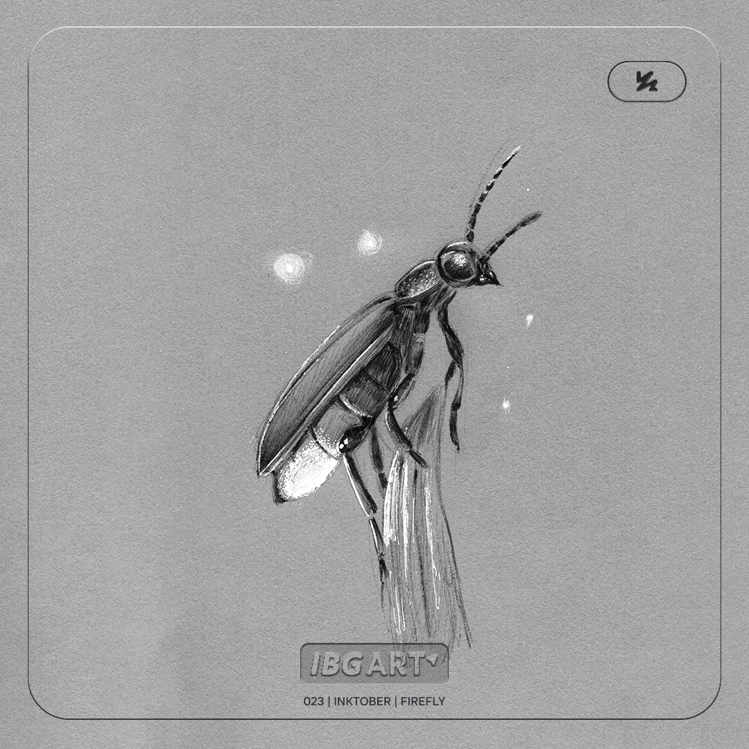 A drawing of a firefly with its abdomen glowing resting on blade of grass. Other fireflies out of focused in the background.