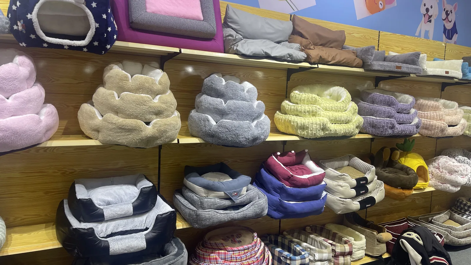 Pet beds and pet home products display in a retail store