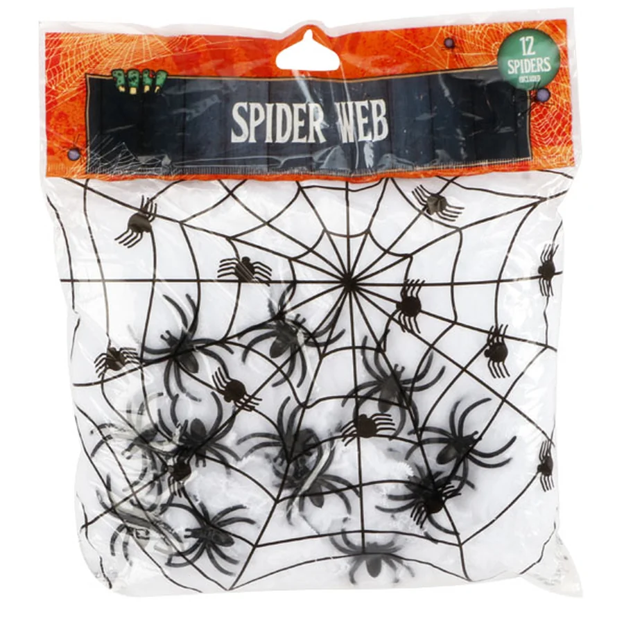 Plastic spider web decoration with black spiders.