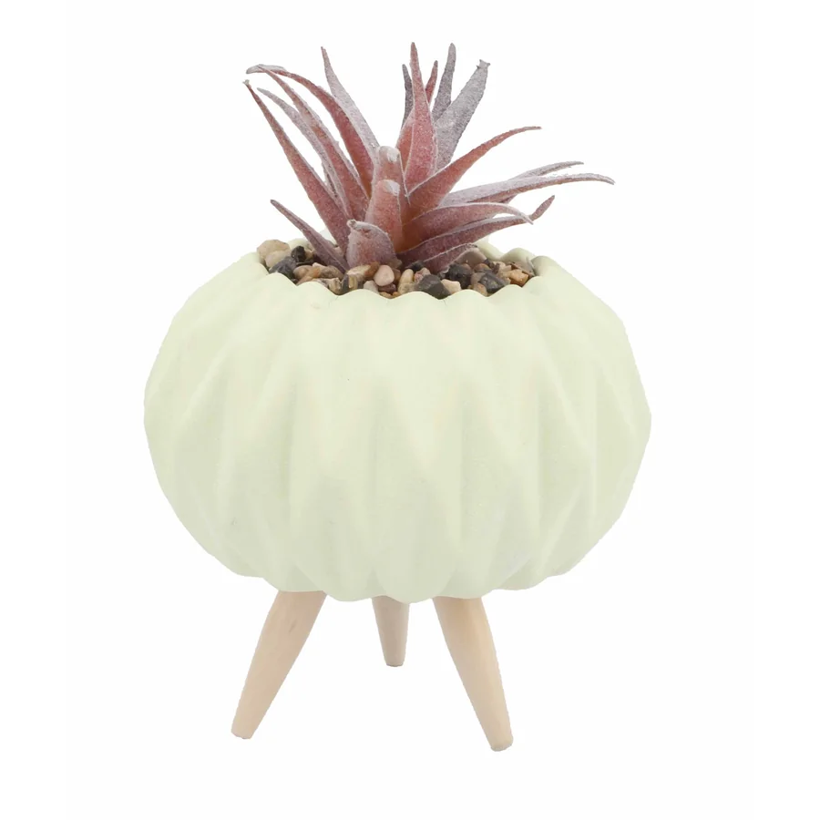 White ceramic pumpkin planter with succulent.