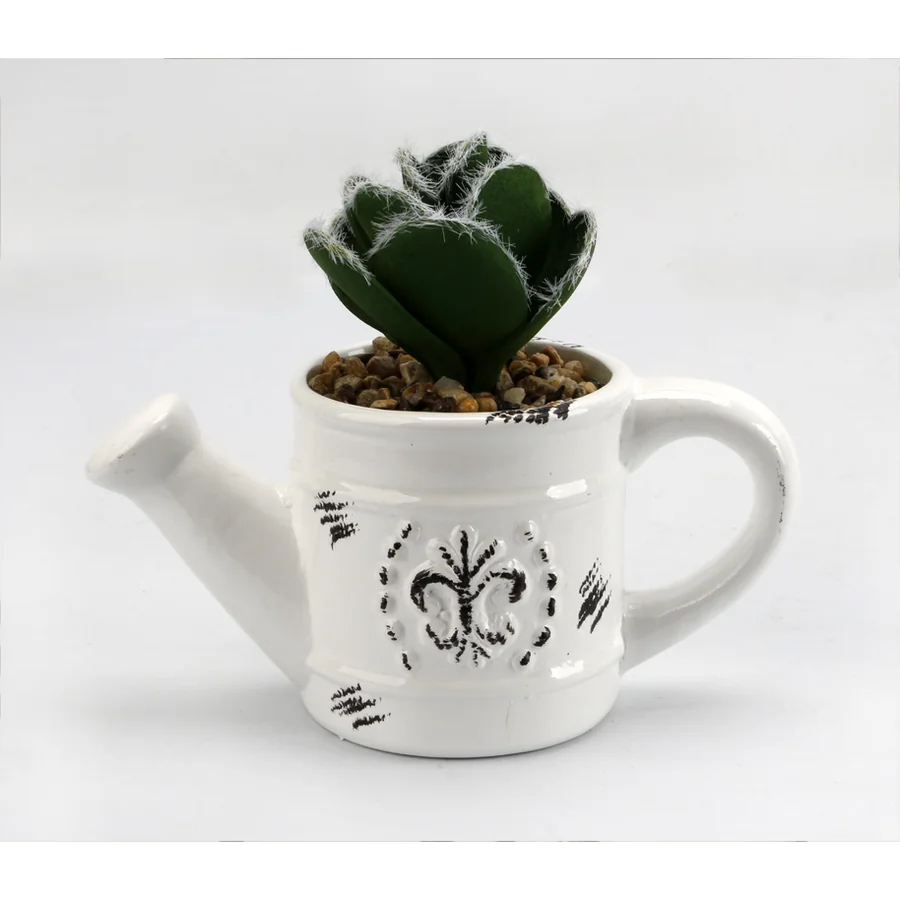 White ceramic watering can with succulent decoration.