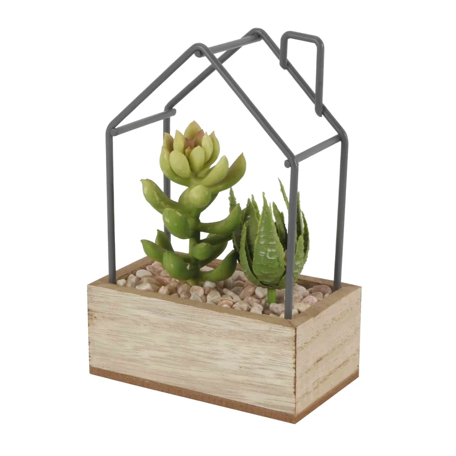 Wooden box with metal greenhouse succulent planter.