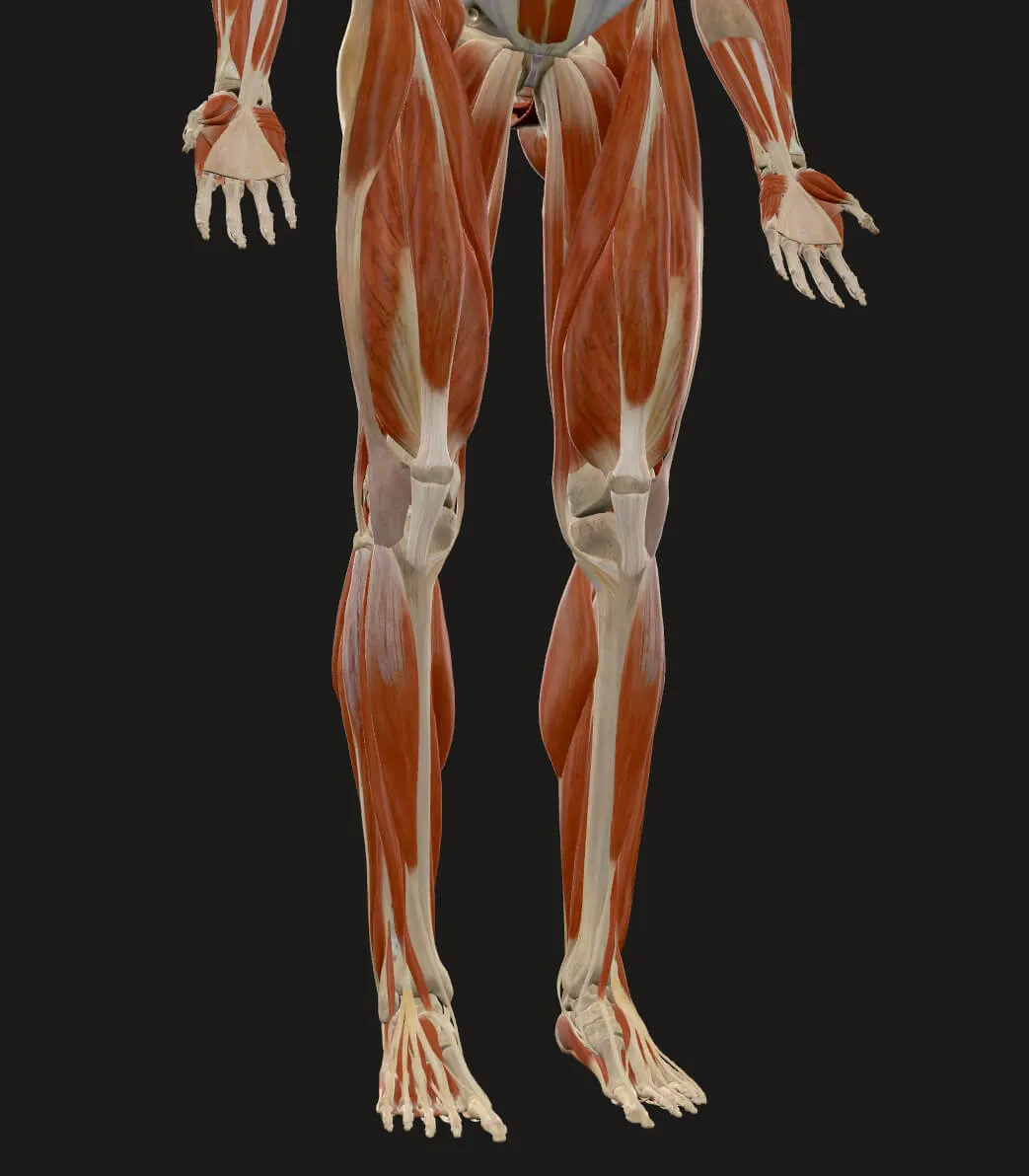 __wf_reserved_inherit