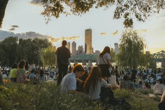 People relaxing on grass in a park in warm evening light.