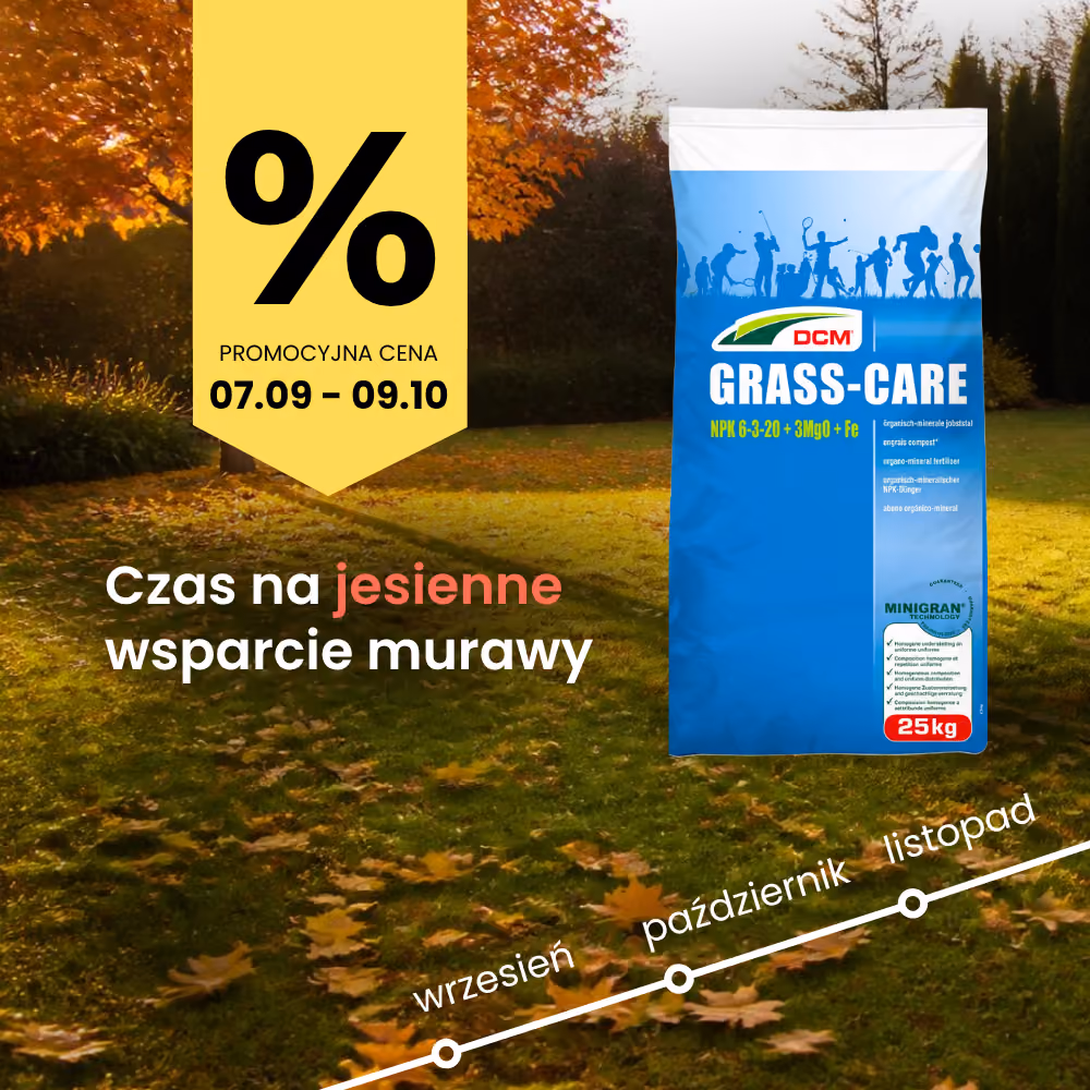 Czas na jesienne wsparcie murawy - DCM Grass-Care, promocyjna cena 07.09-09.10