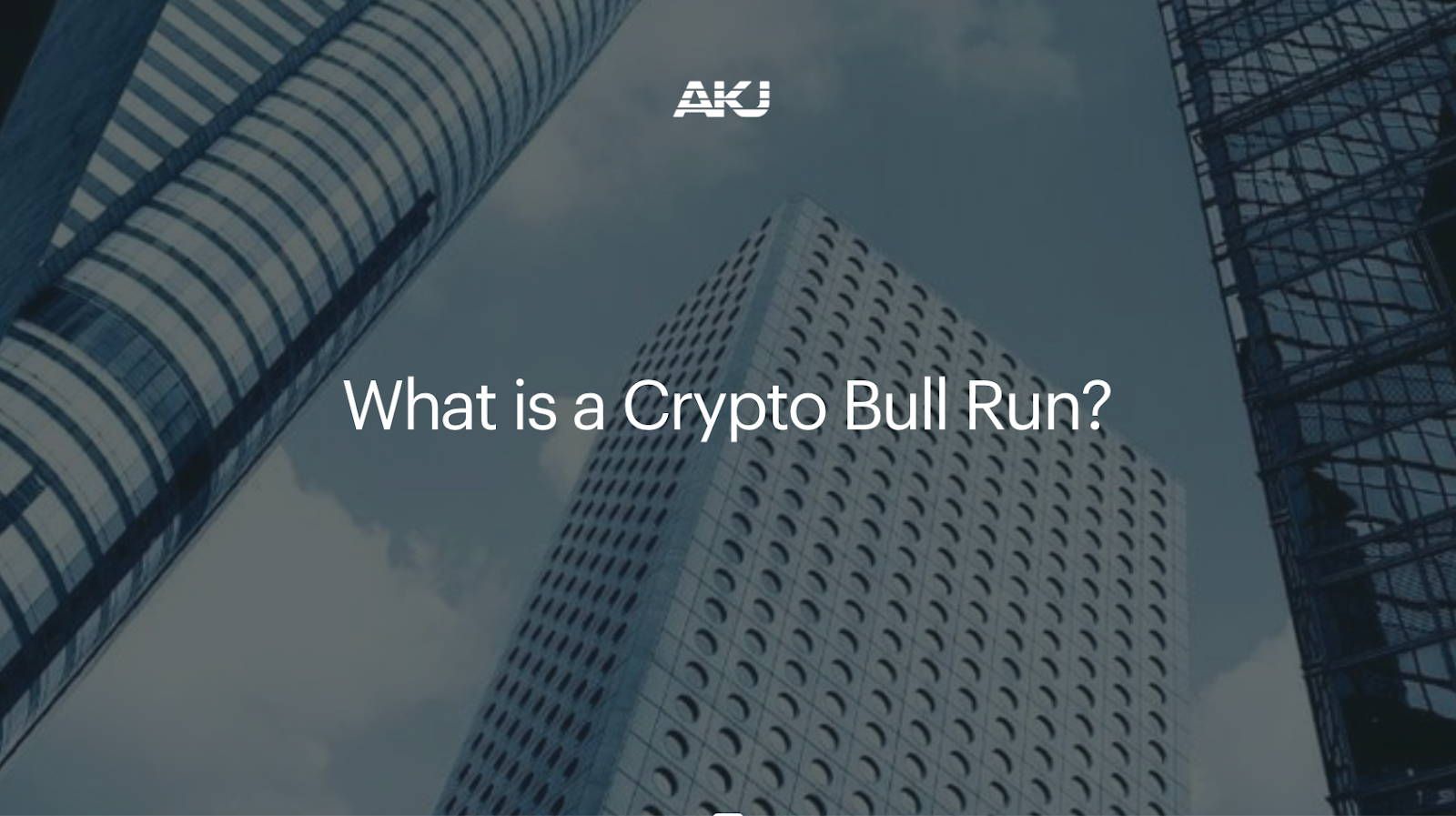 What Is a Crypto Bull Run?