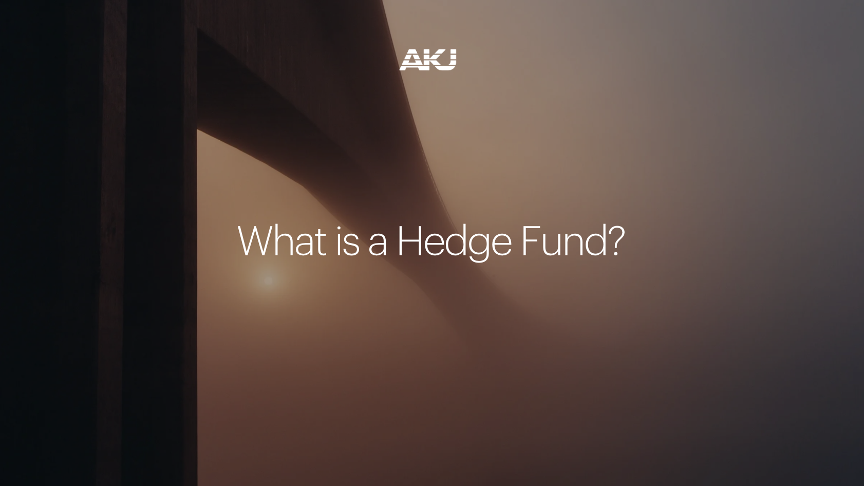 What is a Hedge Fund?
