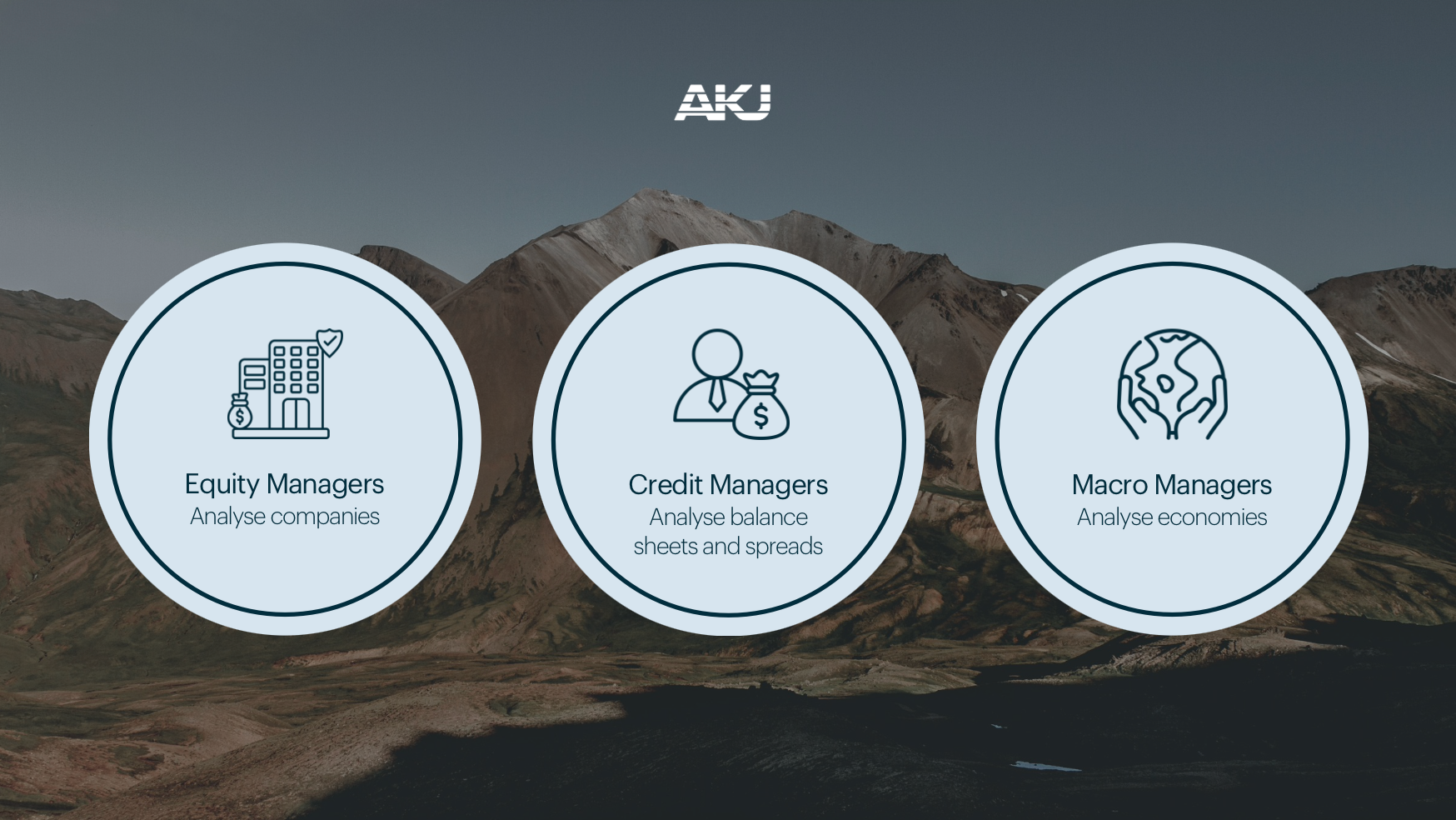 A graphic image of the typical types of managers in macro hedge funds
