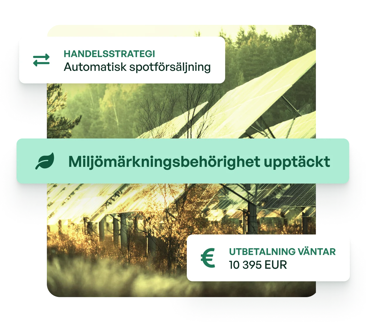 Solpaneler placerade på en skogsglänta omgivna av tallar och växtlighet, med vindkraftverk synliga i bakgrunden