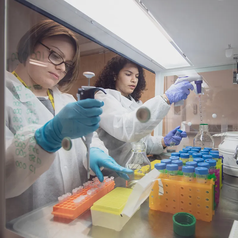 Two scientists in lab coats and gloves working with pipettes and sample racks in a laboratory