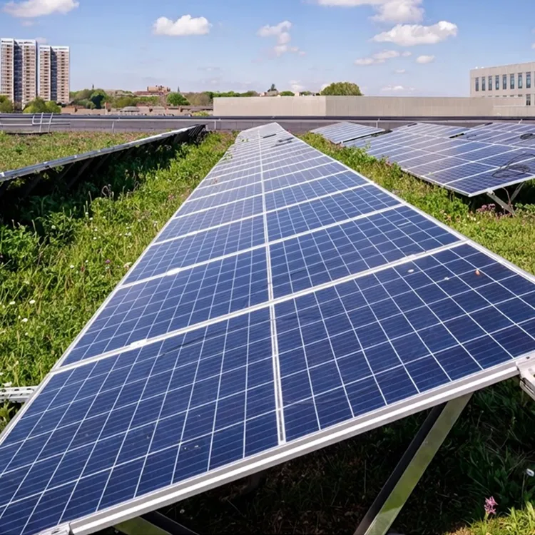 Rows of solar panels on a green roof with city buildings in the background