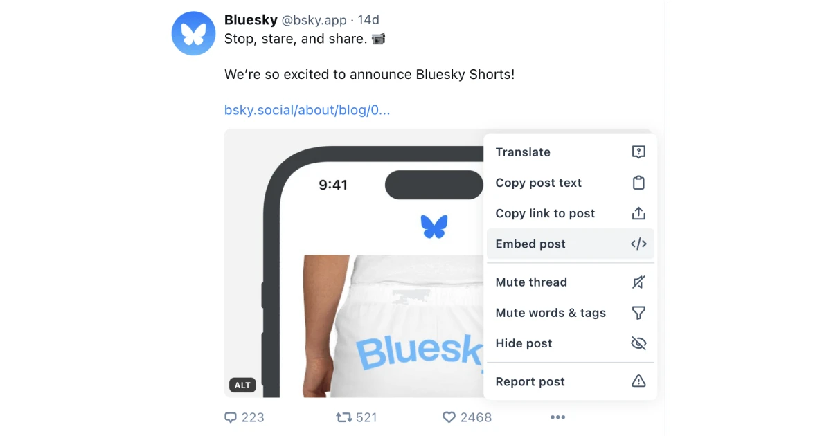 Bluesky Suspends Operations in Mississippi Over New Age Assurance Rules