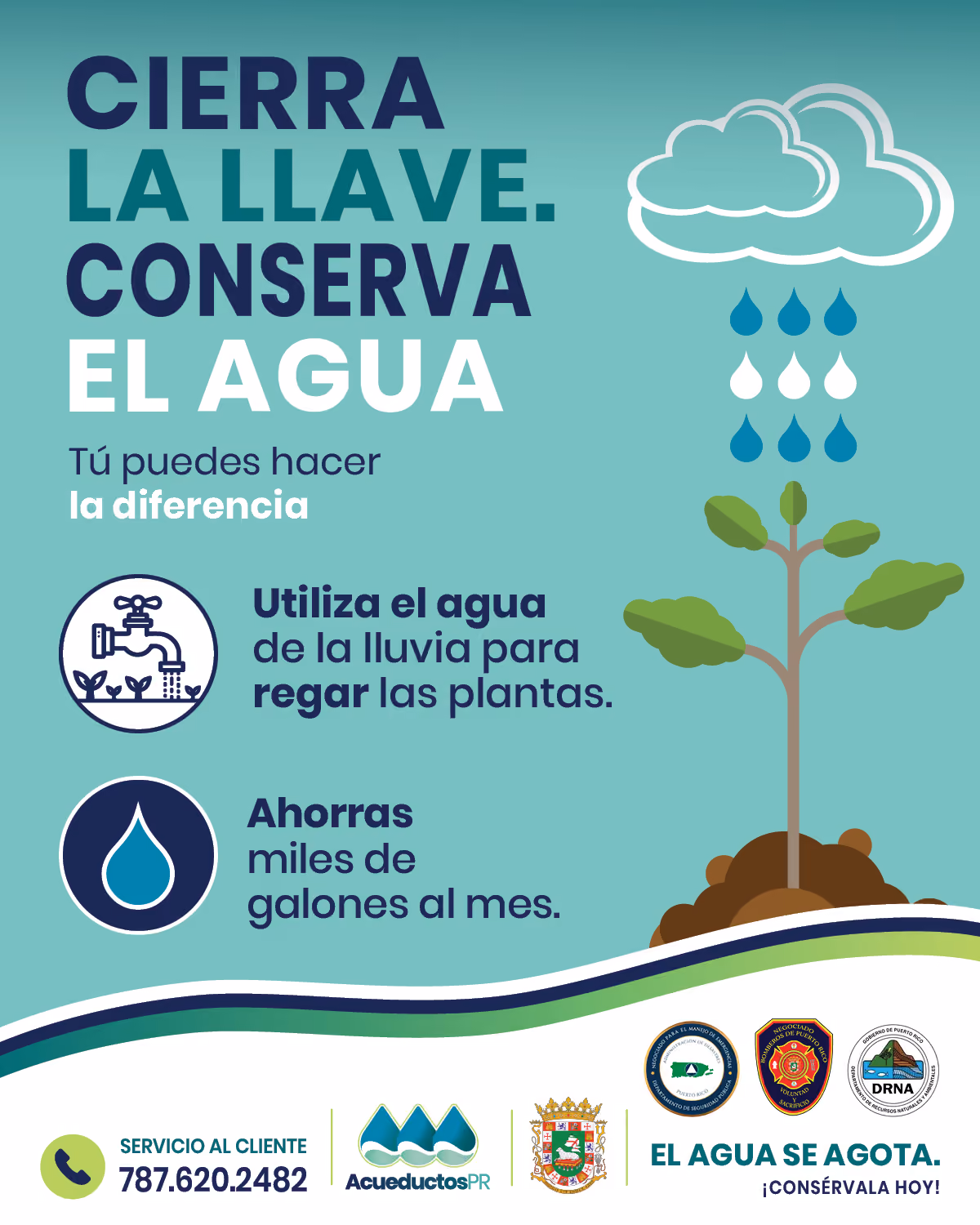Imagen explicando como conservar agua usando la lluvia para regar las plantas.