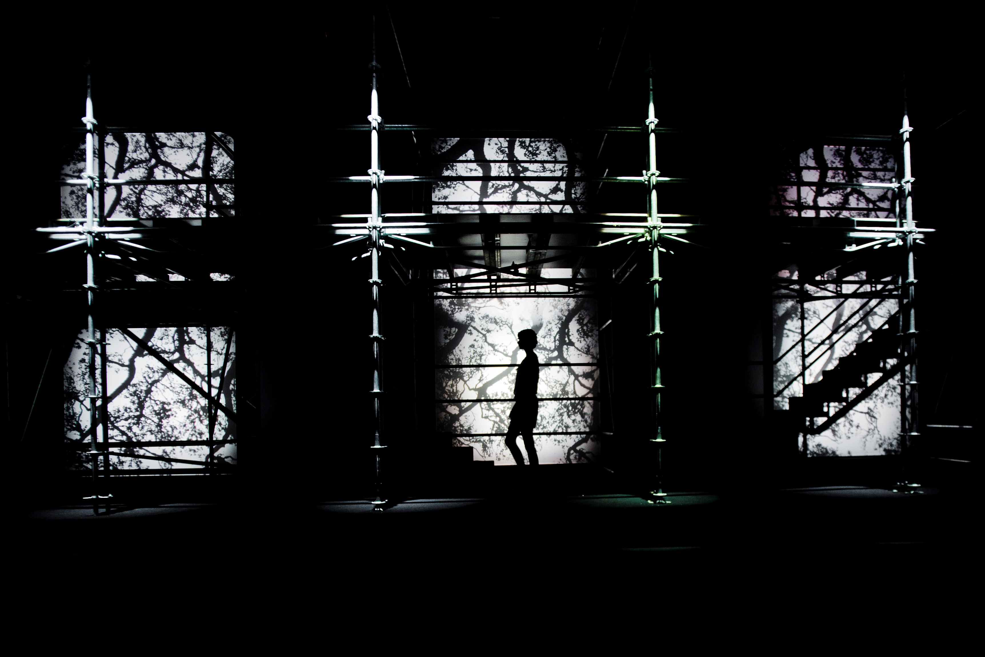 Silueta de una modelo cruzando un andamio con paneles retroiluminados con ramas, en blanco y negro, 080 Barcelona Fashion FW 2011-2012 producida por ESMA Events