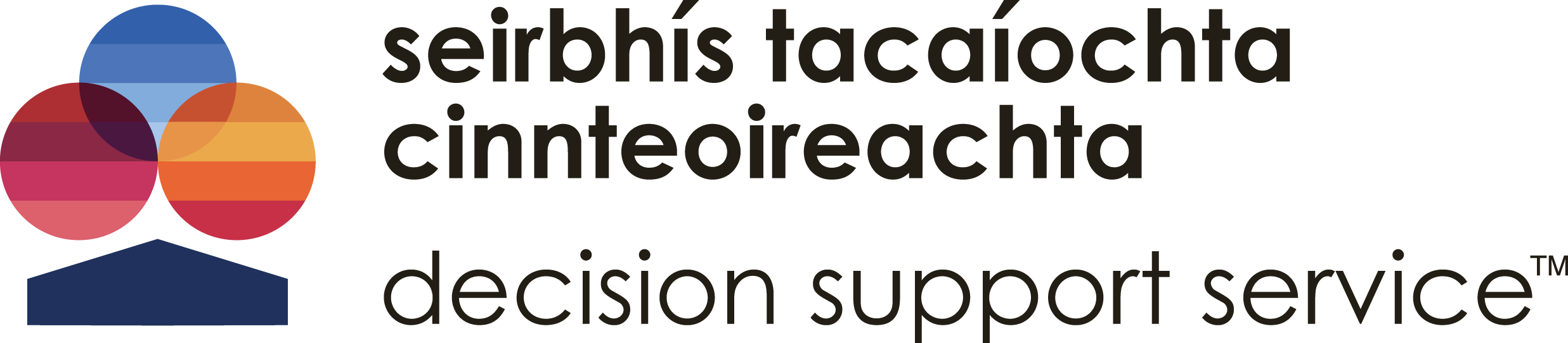 Decision Support Service logo. Text reads 'seirbhís tacaíochta cinnteoireachta. Decision Support Service'.